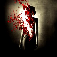 Rose Perfumes logo - Similar company to Panache Perfumes