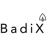 BadiX logo - Similar company to Badix Machines Box