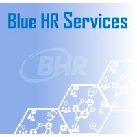Blue HR Services logo - Similar company to Alfa Marine Electronics