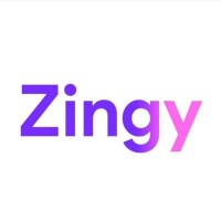 Zingy logo - Similar company to Arthavedika Tech Pvt Ltd