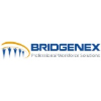 Bridgenex logo - Similar company to Rallypoint