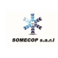 Société Méditerranéenne De Congélation Du Poisson (SOMECOP S.A.R.L.) logo - Similar company to Embee Consulting Ltd