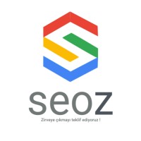 SEOZ Dijital logo - Similar company to Inepilepsy