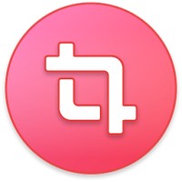 Pika logo - Similar company to Borg Collective Gmbh