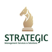 Strategic Management Services & Solutions logo - Similar company to Executive Information Systems, Llc