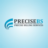 PreciseBS logo - Similar company to Techramp Solutions