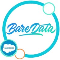 Bare Data Consultancy logo - Similar company to Bear Data Acquired By Datalink Corporation