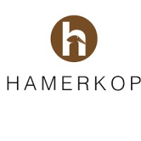 Hamerkop Design Studio logo - Similar company to Pxls Creative