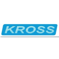 KROSS INFOTEL LIMITED logo - Similar company to Talent Hive