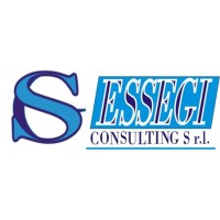 Essegi Consulting Srl logo - Similar company to Plasso S.R.L.