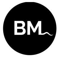 Brickmouse logo - Similar company to Logic Labyrinth Studios