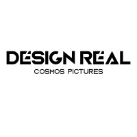 DESIGN REAL logo - Similar company to Tesuji Games Inc
