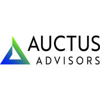 Auctus Advisors LLP logo - Similar company to Auctus Advisors