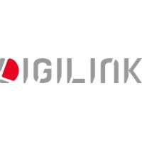 Digilink  Media Group