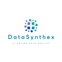 DataSynthex logo - Similar company to Datasynthesis Inc