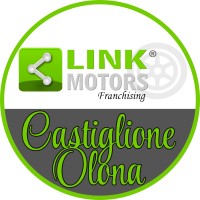 Link Motors Castiglione Olona logo - Similar company to Dual.Concept