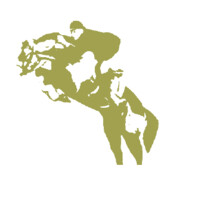 Stal Romp logo - Similar company to Ghd Equestrian