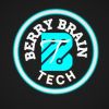 BerryBrainTech logo - Similar company to Twiniot
