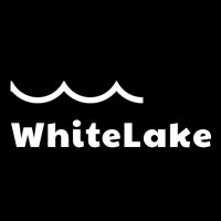 Whitelake logo - Similar company to Cks Solutions