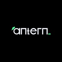 ANTERNDATA SOLUTIONS logo - Similar company to Iaminterviewed - Technical Interviews