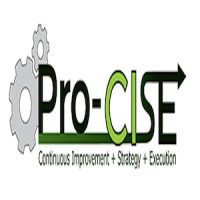 Pro-Cise Consulting
