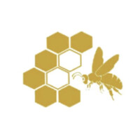 DINOTSHI Healthcare Investments (PTY) LTD logo - Similar company to Climaks Scientific Healthcare Educational & Humanitarian Supplies (Pty) Ltd
