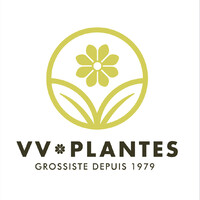 VV PLANTES logo - Similar company to Plantassistance - Fleurassistance