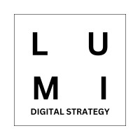 LUMI DIGITAL STRATEGIES logo - Similar company to Novastack Technologies