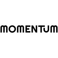 Momentum logo - Similar company to Honert + Partner Mbb