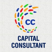 Capital Consultant logo - Similar company to Top-Consultant.Com