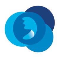 Digital Future Solutions LLC logo - Similar company to Intellipaas Inc