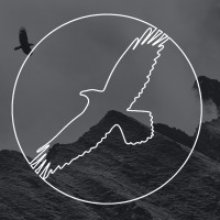 Crow Flies Marketing - Western Sydney logo - Similar company to Speedlancer Inc