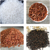 Rice & Spices Exporter in Vietnam logo - Similar company to Cronos Global Solutions