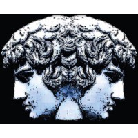 Janus Management Group