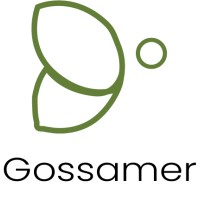 Gossamer logo - Similar company to Nmdreams