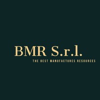 BMR S.r.l. logo - Similar company to Futurwall S.R.L