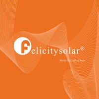 Felicity Solar Myanmar logo - Similar company to Felicity Solar Distribution