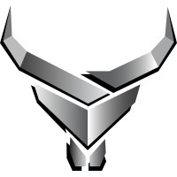 Black Bull Technologies logo - Similar company to Idp Group Inc