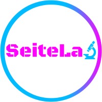 SeiteLab | Das Labor Ihrer Webseite logo - Similar company to Websitebude