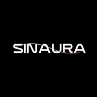 SinAura logo - Similar company to Skyroots Studio