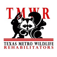 Texas Metro Wildlife Rehabilitators
