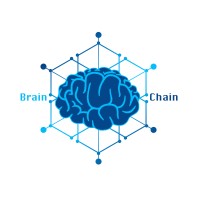 BrainChain Innovation logo - Similar company to Topzero Sinks