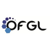 Observatoire des Finances et de la Gestion publique Locales (OFGL) logo - Similar company to Taelys