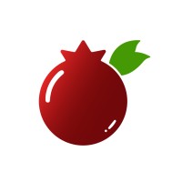 Punica.App logo - Similar company to Duuple