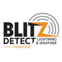 Blitz-Detect logo - Similar company to Rafferty Lightning Protection Ltd