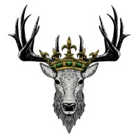Medina Media Productions logo - Similar company to Medina