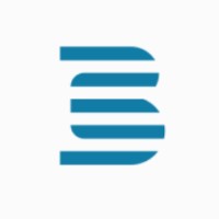 BrightLogics logo - Similar company to Baba Guru Nanak University Bgnu Օfficial