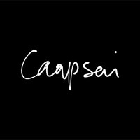 Caapsai logo - Similar company to Upscale Conf