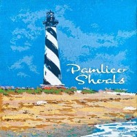 Pamlico Shoals Targeted Opportunities Fund, LP | Pamlico Shoals Capital, LLC logo - Similar company to Dynastic Capital Llc