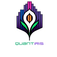 Quantiris logo - Similar company to Pascal Perry Digital Consulting